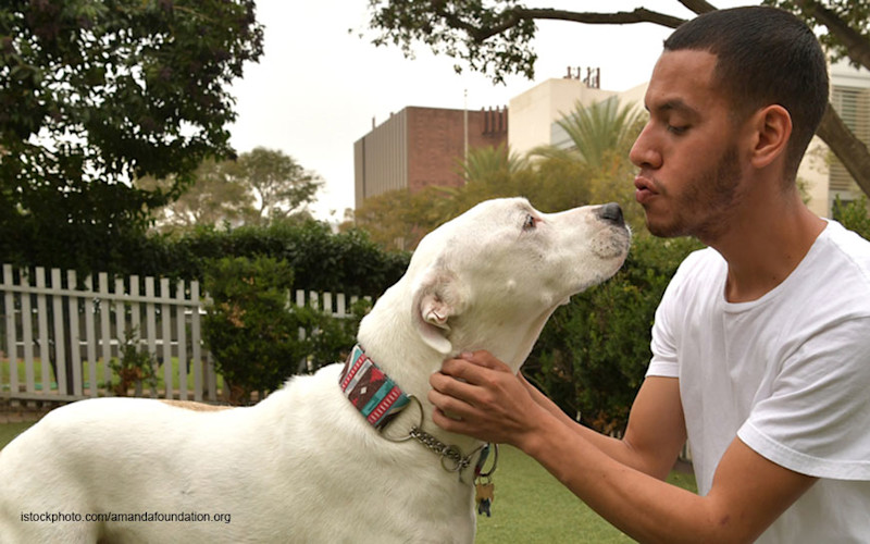 Pet Parent with Pet - Stock Photo
