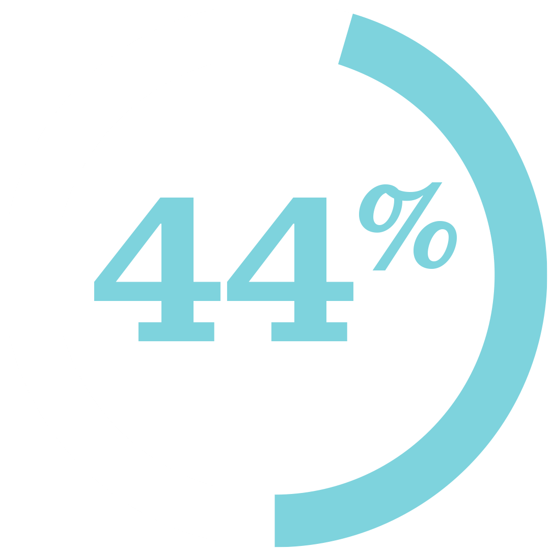 44 Percent Blue Icon