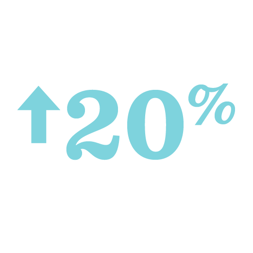 20 Percent Increase Icon