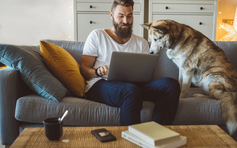 L male with beard on couch dog laptop