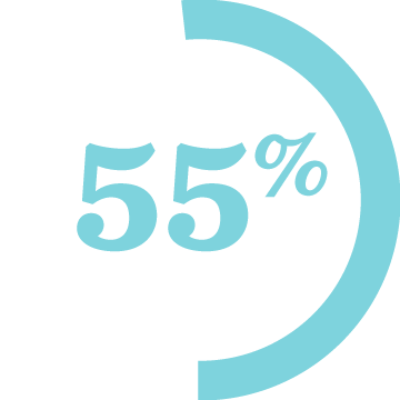 55 Percent Stat Icon Light Blue