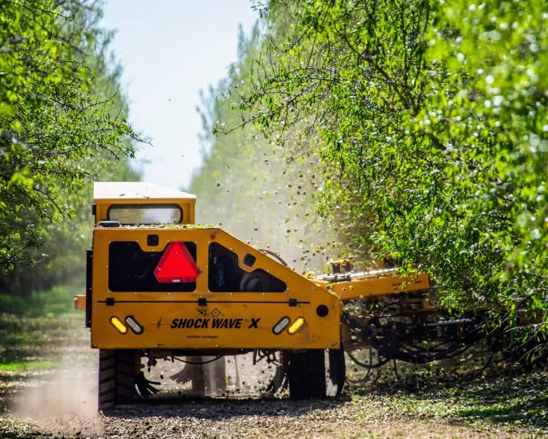 bonsai case study hero