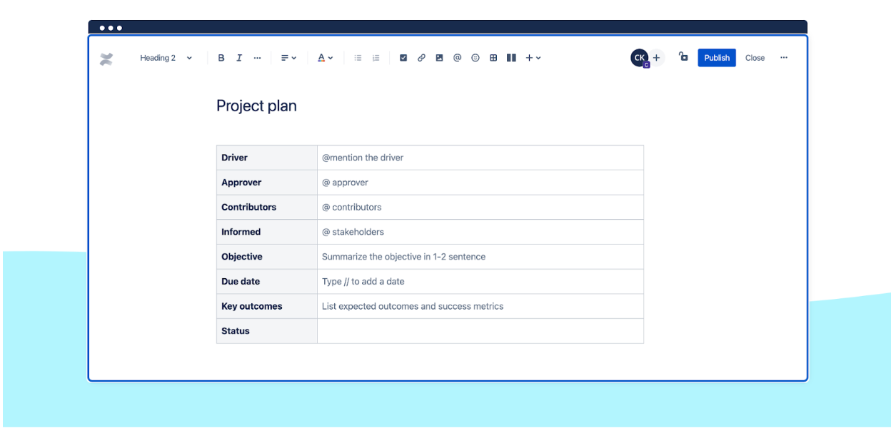 Project plan view