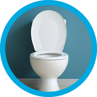 A clean toilet