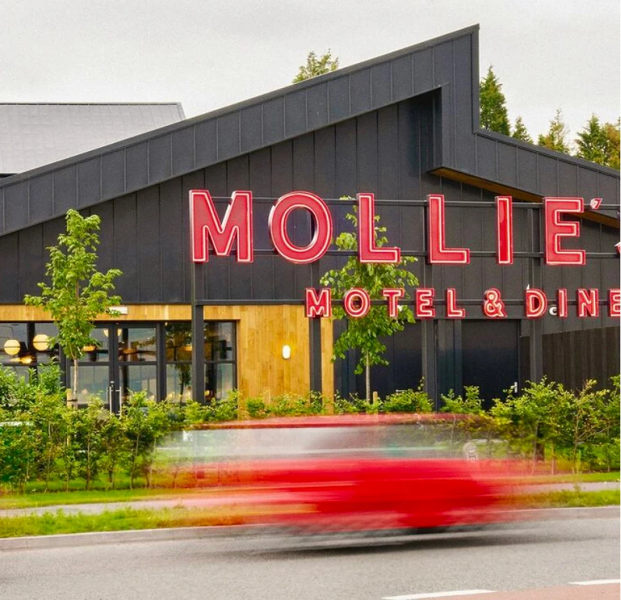 mollies-motels