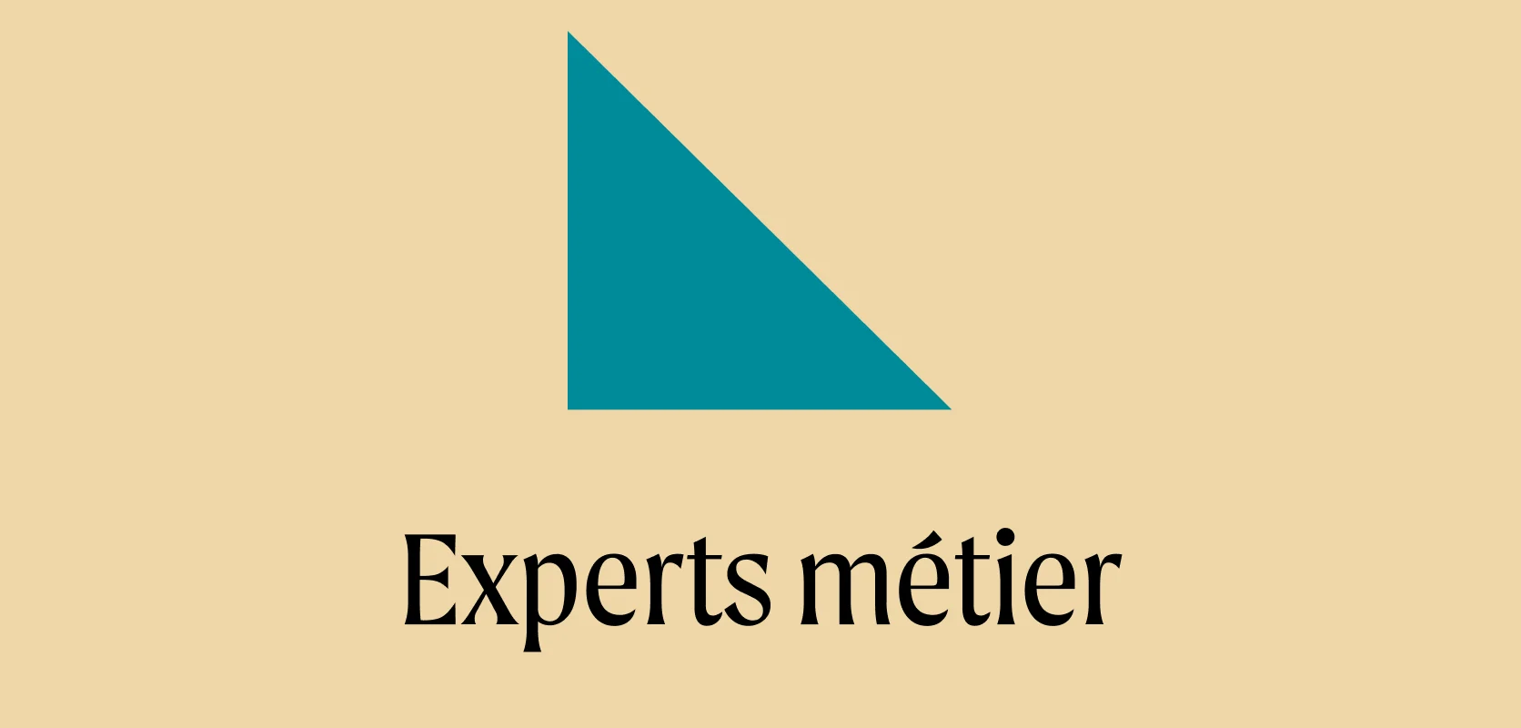 Experts de l'industrie - community