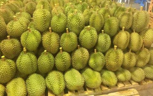 进口榴莲清关