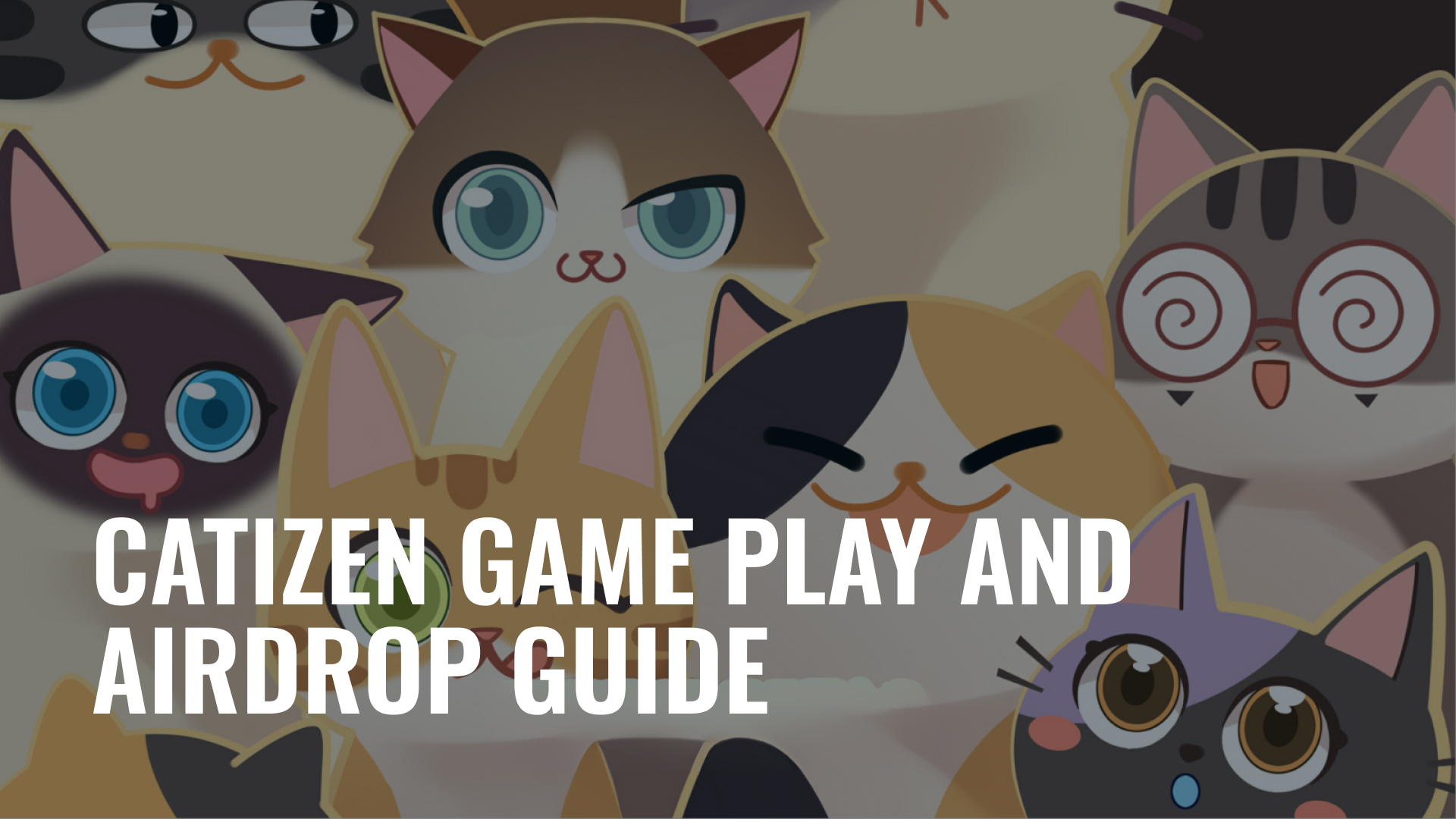 Catizen Token Price Project Game And Airdrop Guide