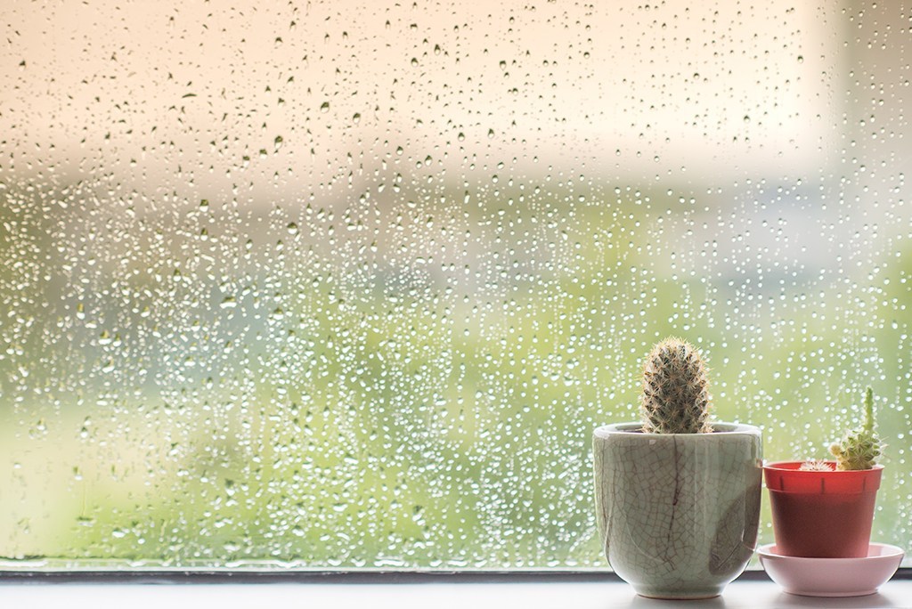 raining-window