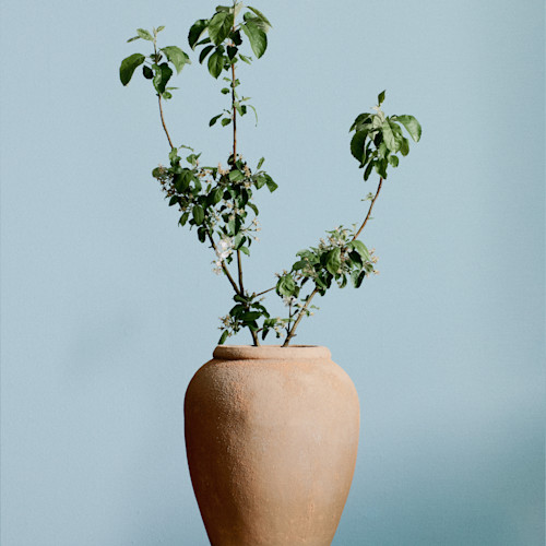 WESTWING DECOR CAMPAIGN 16