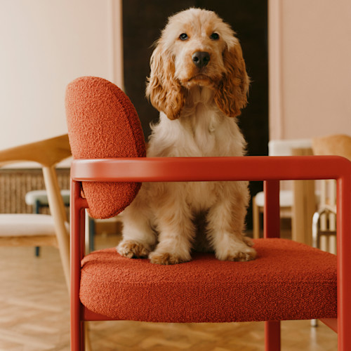 WESTWING CHAIRS CAMPAIGN 24