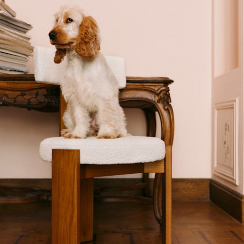 WESTWING CHAIRS CAMPAIGN 14