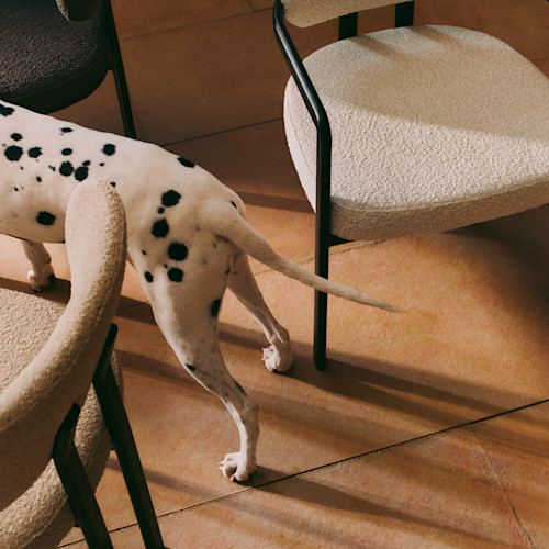 WESTWING CHAIRS CAMPAIGN 19