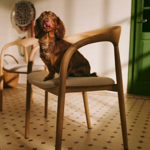 WESTWING CHAIRS CAMPAIGN 21