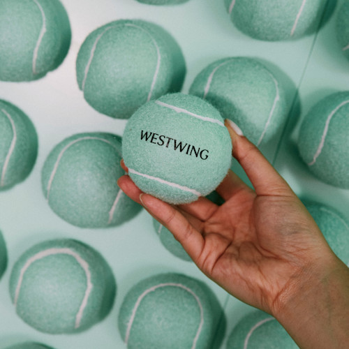 Westwing Halle Terra- Wortmann-Open-2