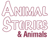 Animal Stories Theme Logo