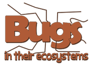 Bugs in Their Ecosystems Theme Logo