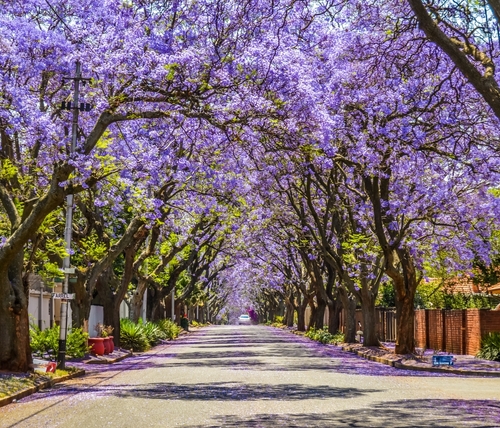 April