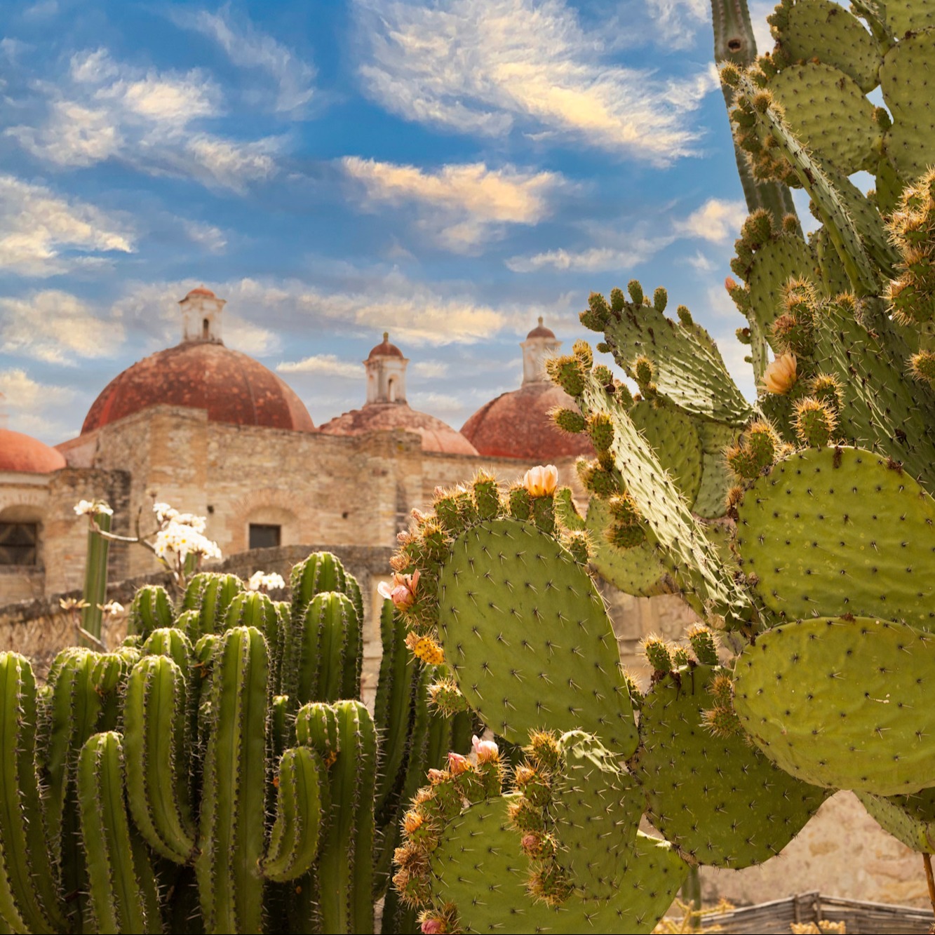 Best of Mexico: Things to Do & Places to Visit
