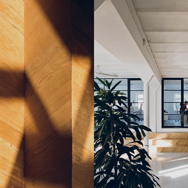 Building stronger brands – Reviews by Trustpilot