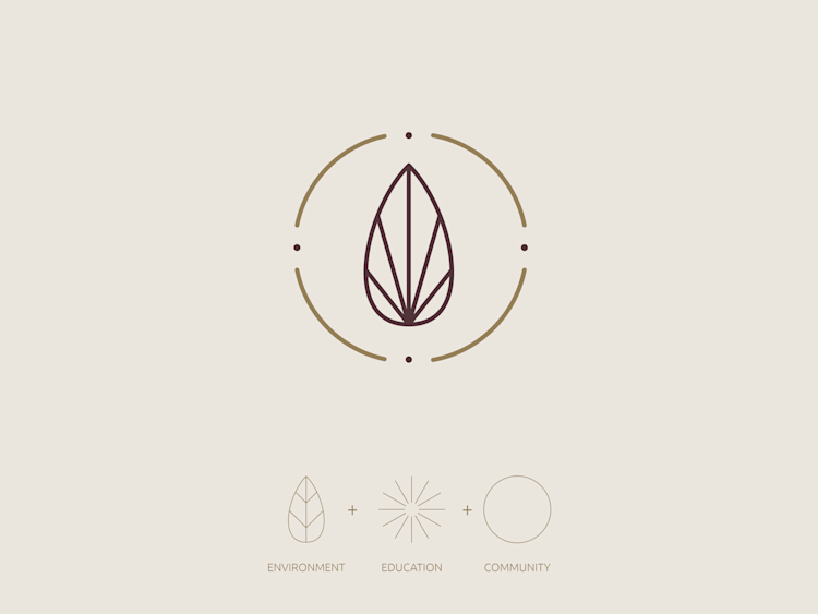 Spark & Bloom Portfolio 2