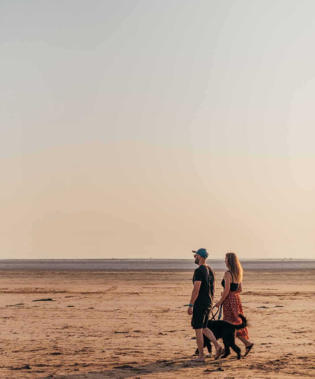 Home page - MindfulCommerce Co-founders walking on the beach with dog