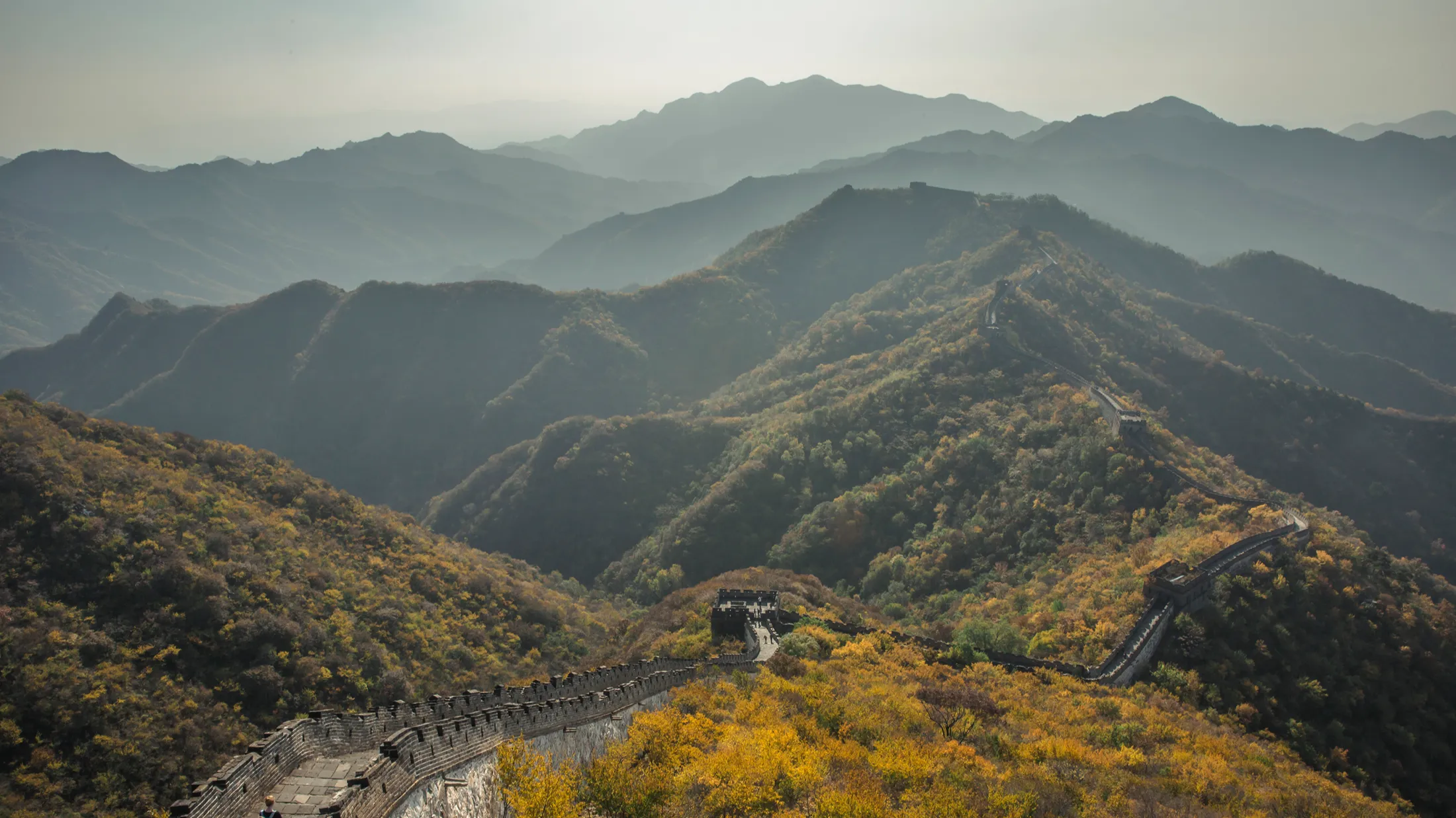 Aerial view of the Great Wall of China winding over misty mountain ridges with autumn foliage in gold and green hues. Aerial view of the Great Wall of China winding over misty mountain ridges with autumn foliage in gold and green tones.