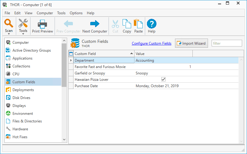 custom data 17