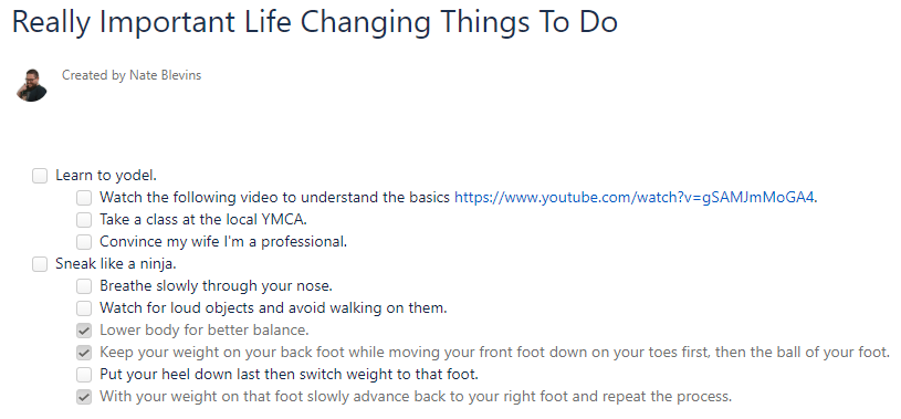 Nate's Really Important Life Changing Things To Do