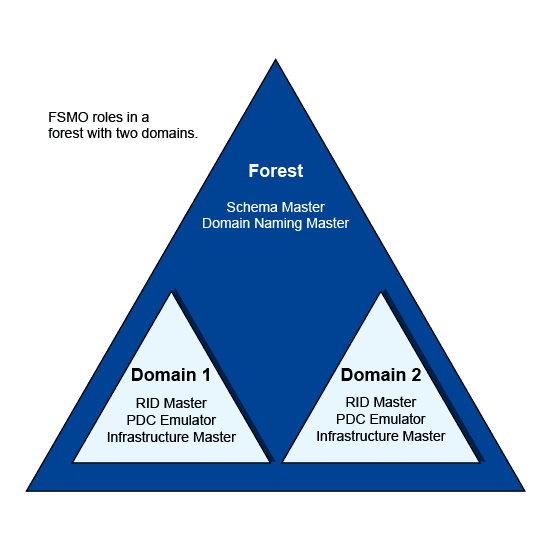 Diagram of FSMO role distribution showing Schema Master and Domain Naming Master at the forest level, and RID Master, PDC Emulator, and Infrastructure Master at the domain level for Domain 1 and Domain 2.