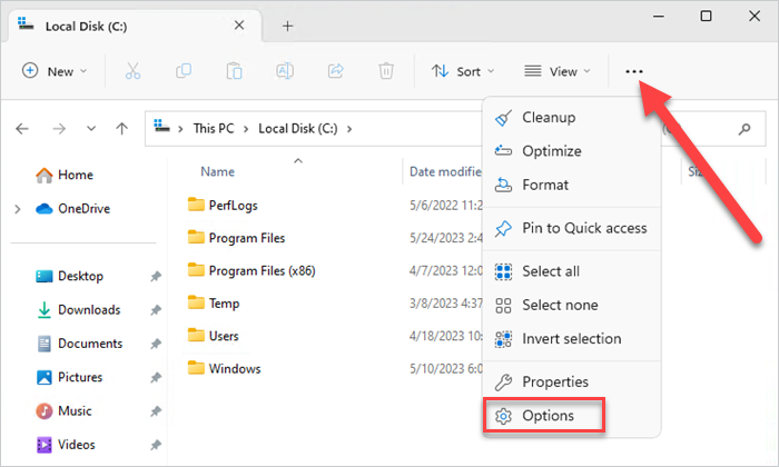 Open Files Explorer's Options menu.