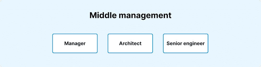 Middle management tier of a large IT team, which includes manager, architect, and senior engineer.
