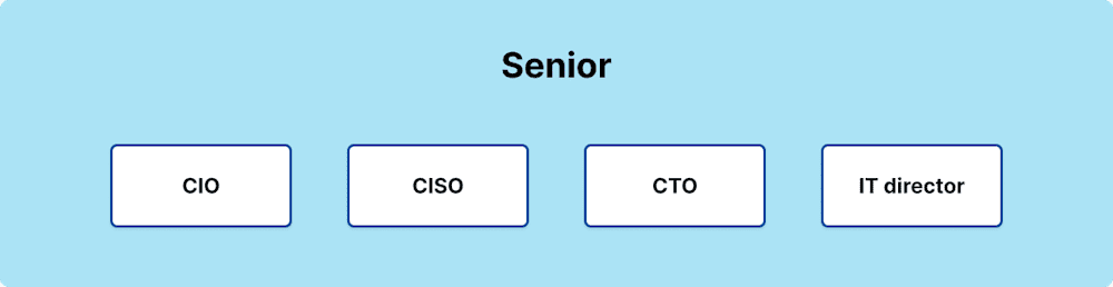Senior tier of a larger IT team, which includes CIO, CISO, CTO, and IT director.