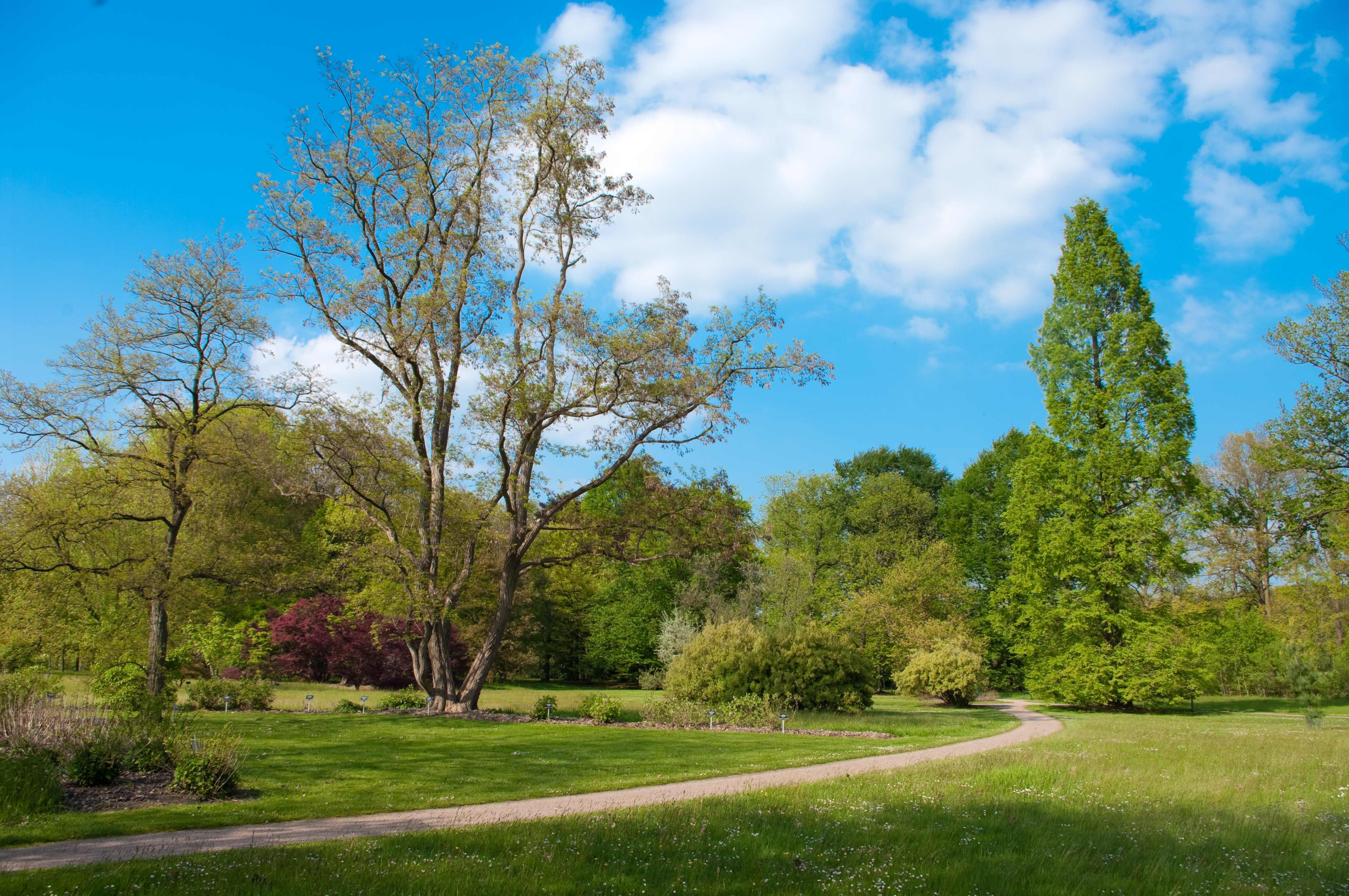Arboretum-Poort-Bulten.jpg