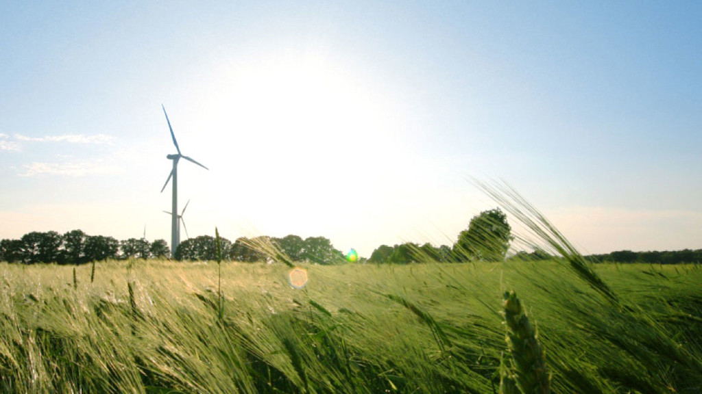 Windräder in einem Getreidefeld.