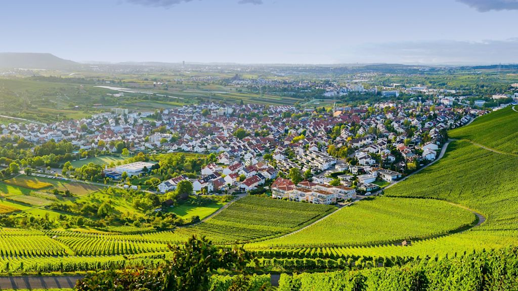 Weinberge und Dorflandschaft bei Sonnenuntergang.