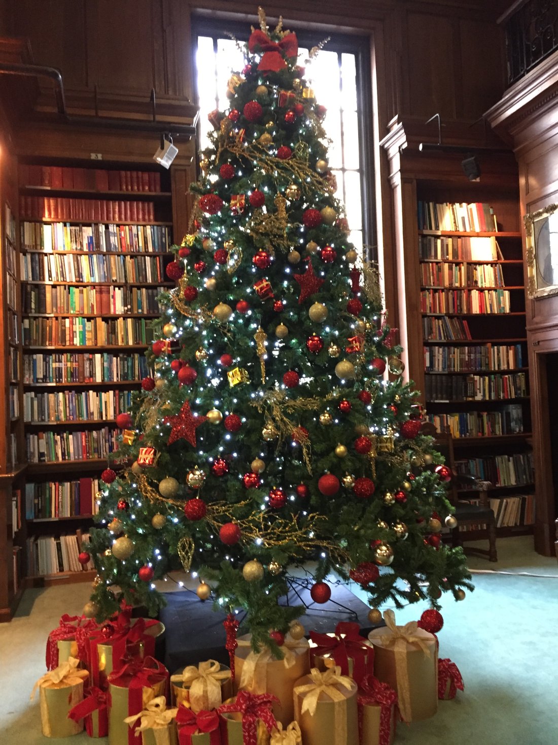 one-great-george-library-xmas-tree