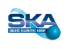 Logo: ska
