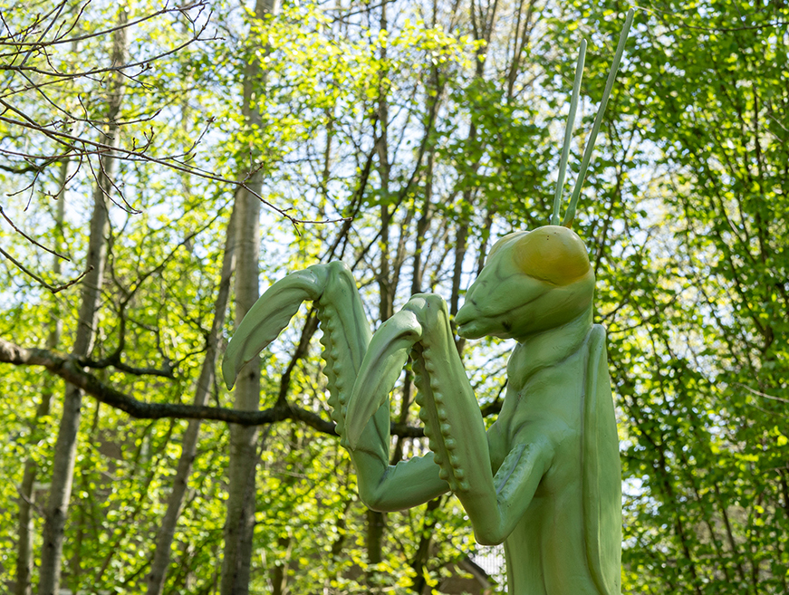 Metergroße Insekten