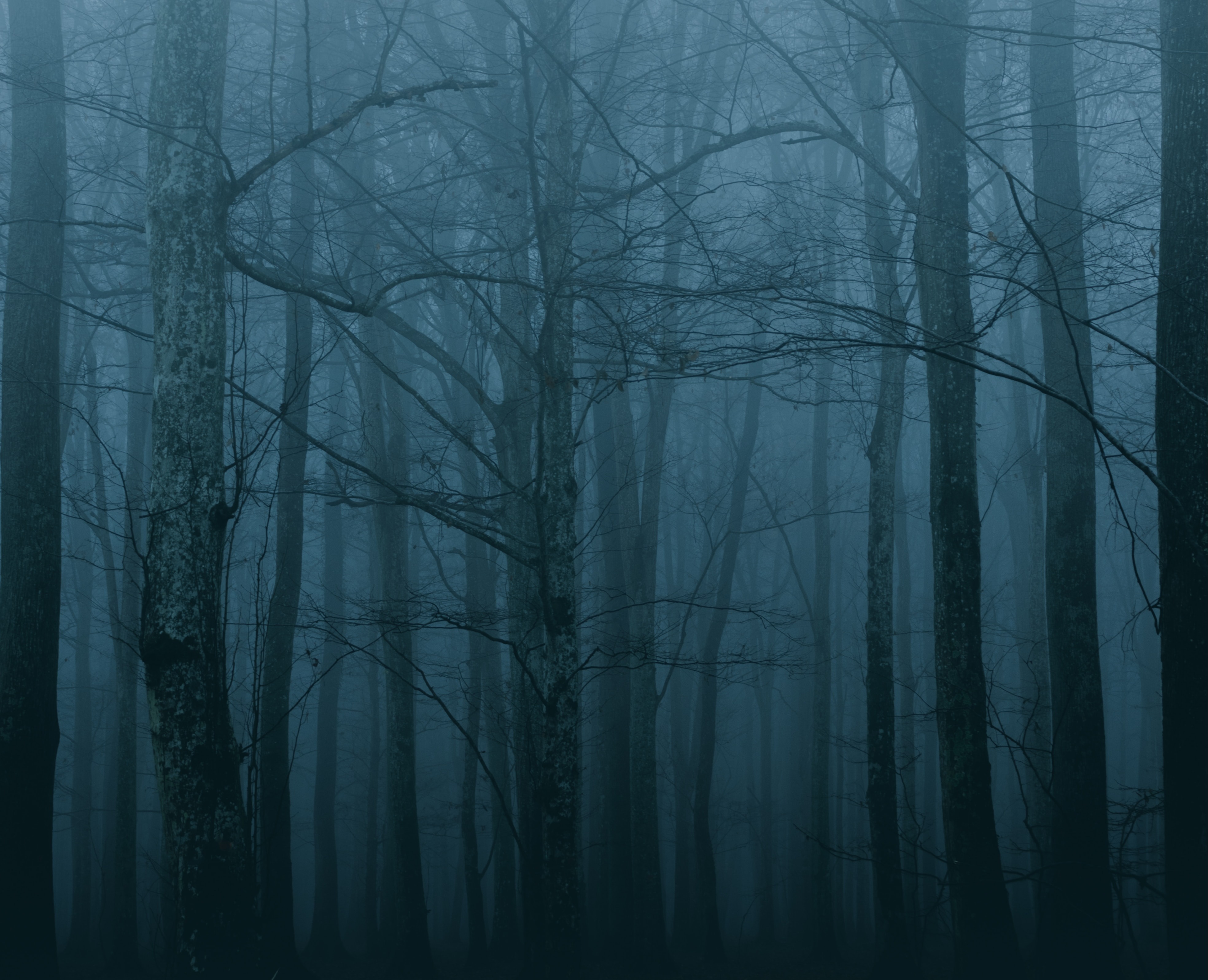 Warning signs from the dead