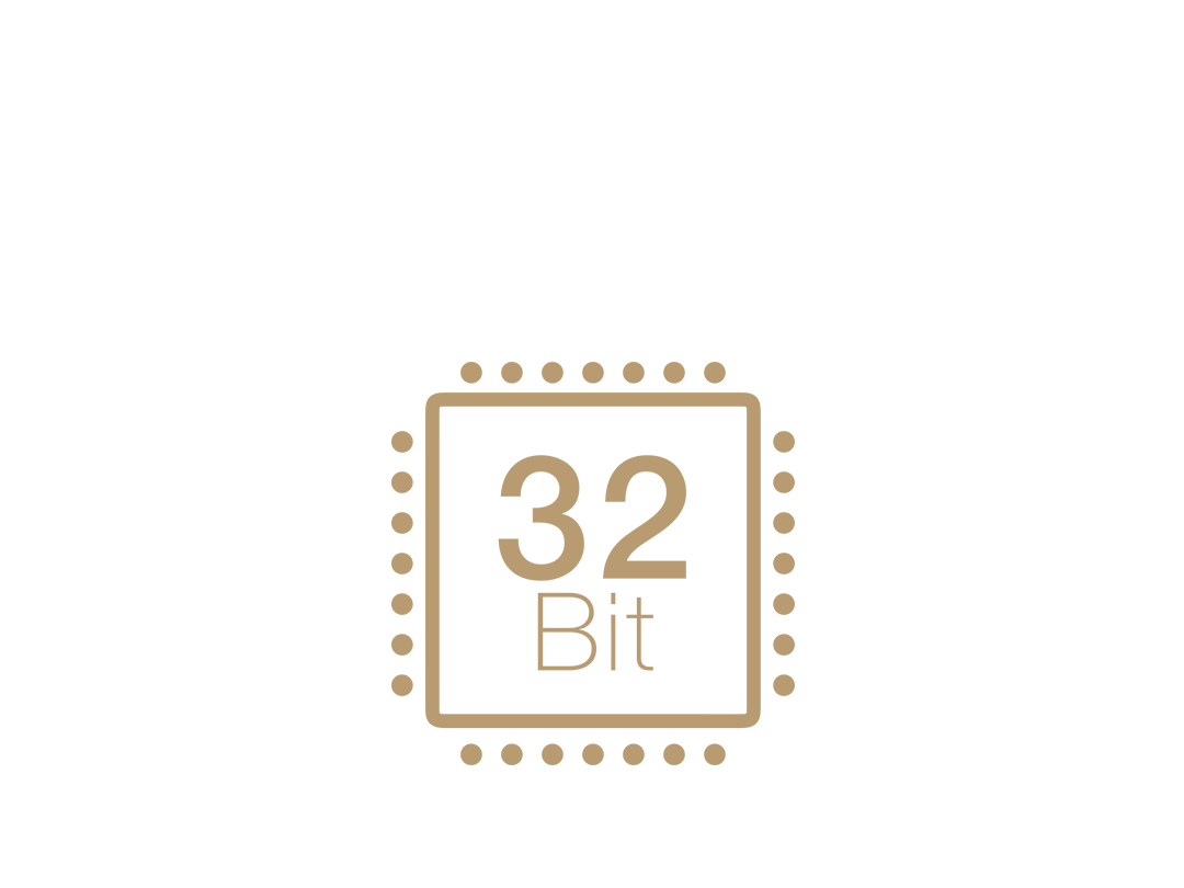 32-Bit chip