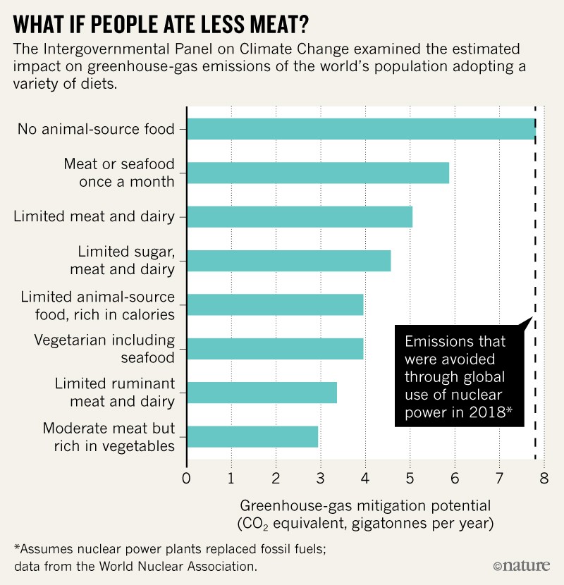 Article - AfterMeat - UN Table