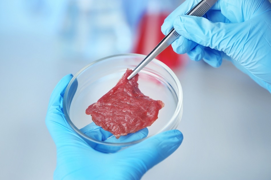 Article - AfterMeat - Cultured Meat