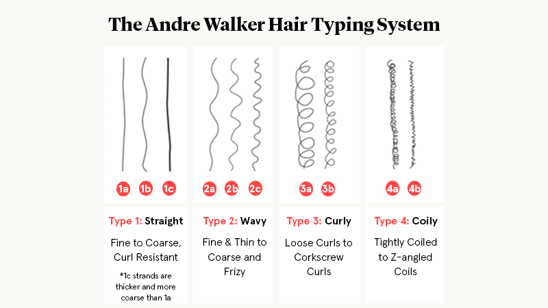 Hair Types Infographic UPDATED