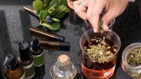 médicaments à base de plantes pour le stress