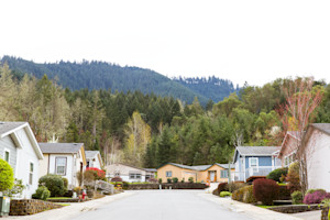 What is a Portfolio Mortgage? post image