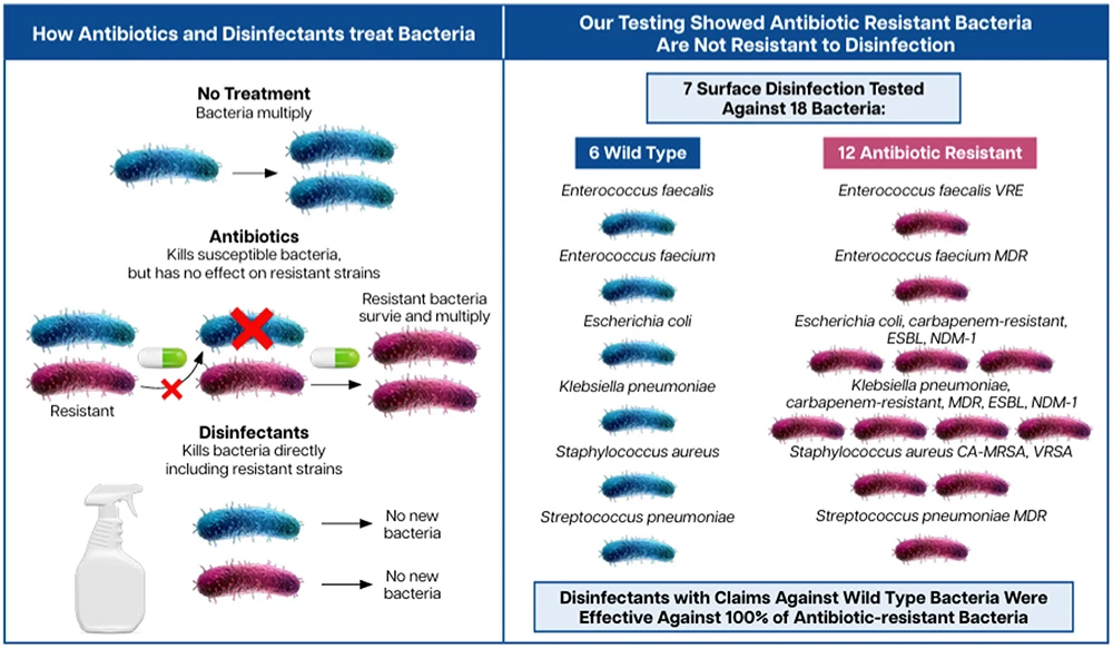 An infographic showing how antibiotics and disinfectants treat bacteria