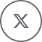 twitter-x Twitter-X