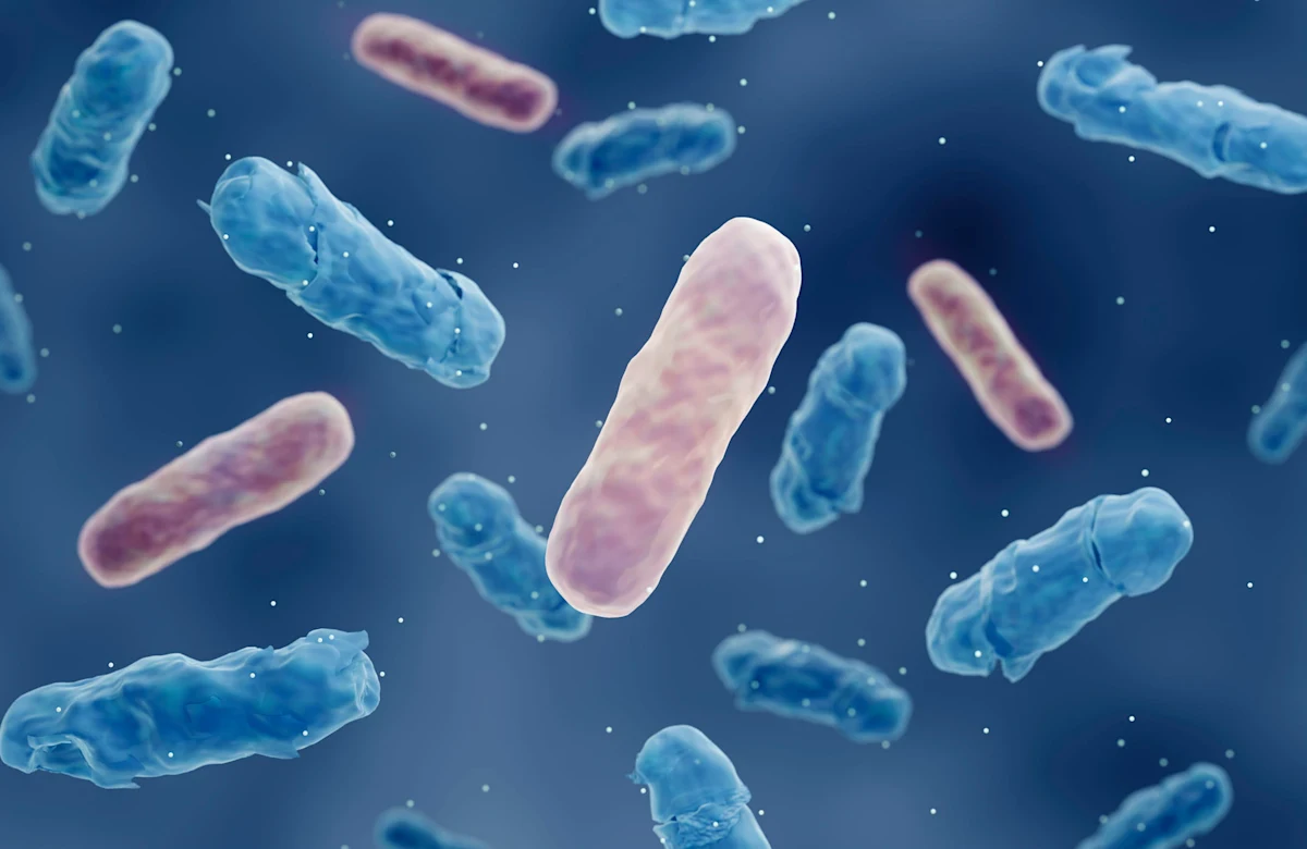 Microscopic view of MDRO