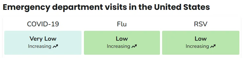 A graph showing the frequency of ER visits for illnesses like COVID, flu and RSV